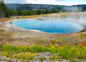 Large image for Spa Geyser im Waterton Valley, Yellowstone-Nationalpark: Entdecken Sie Eine Versteckte Oase