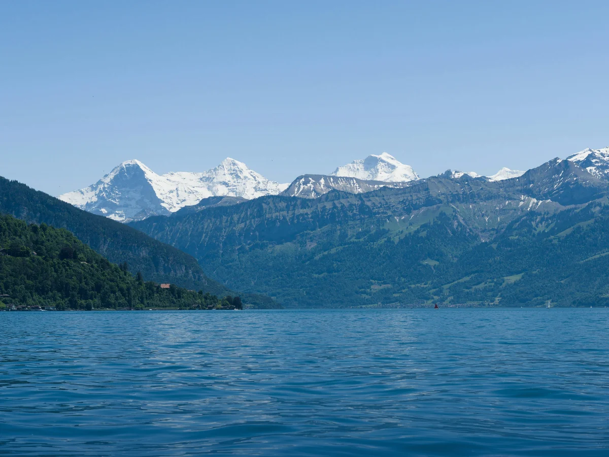 Image for ParkSide Clinic: Zurich