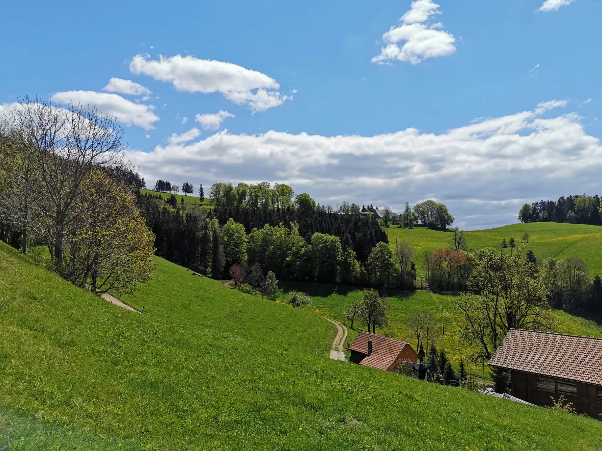 Image for Lanserhof Tegernsee – Langlebigkeit Klinik in Waakirchen, Deutschland