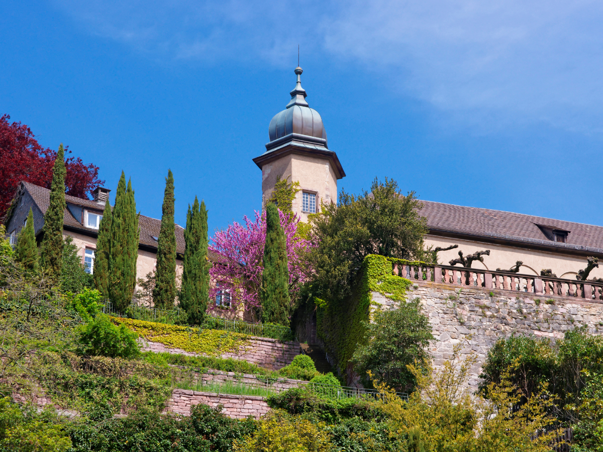 Image for Longevity & Health Clinic Baden-Baden – Longevity Clinic in Baden-Baden, Germany