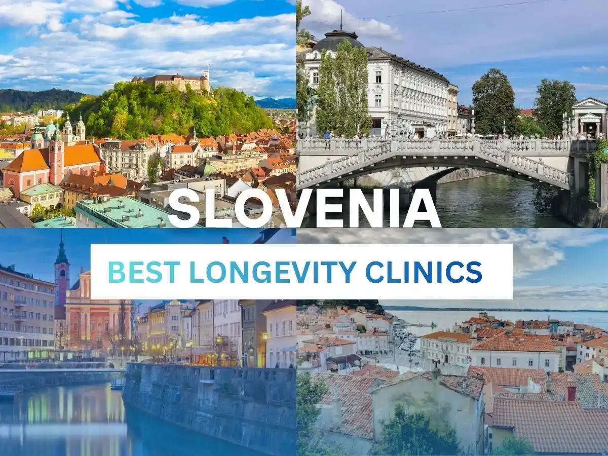Image for Longevity Clinics in Slovenia: A Structured Evaluation for Executives image