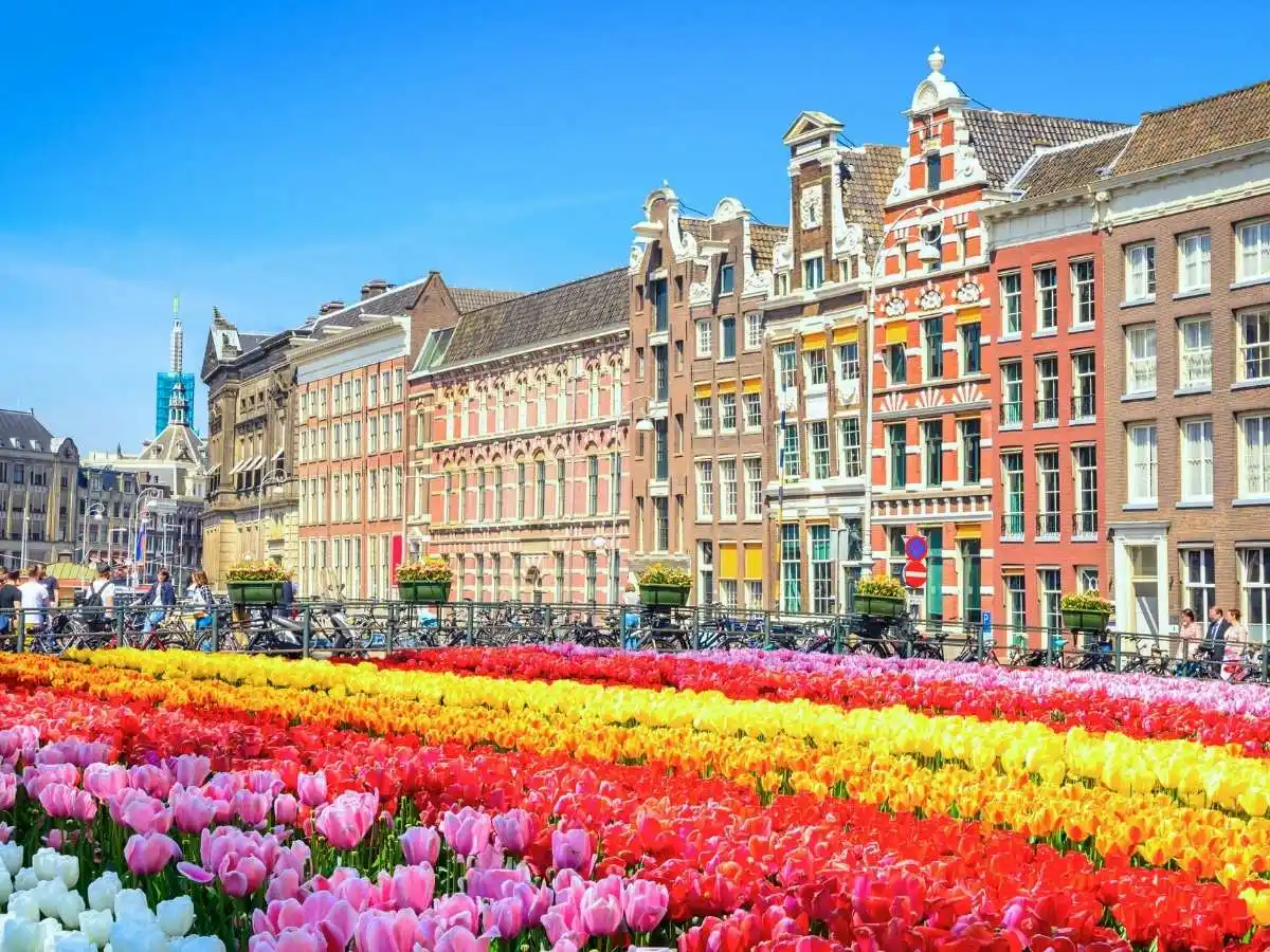 Image for Qualevita – Preventive Longevity Clinic in Amsterdam, Netherlands